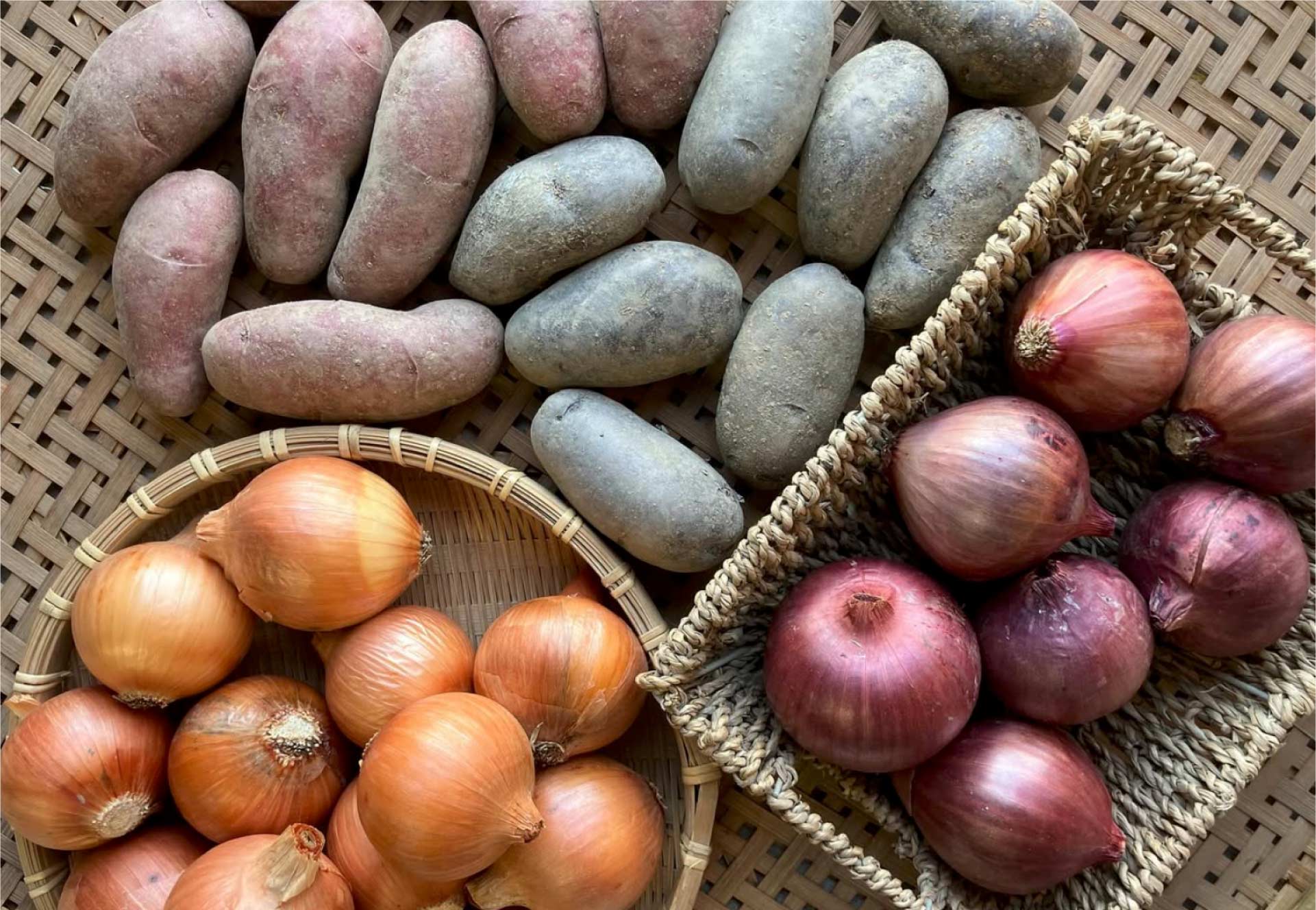 島根県出雲市で無農薬野菜の栽培 SPIRA FARM 